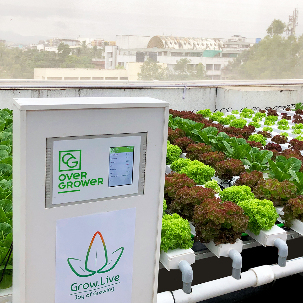 Комплекс автоматизации OverGrower в Индии, управляет процессом выращивания зелени
