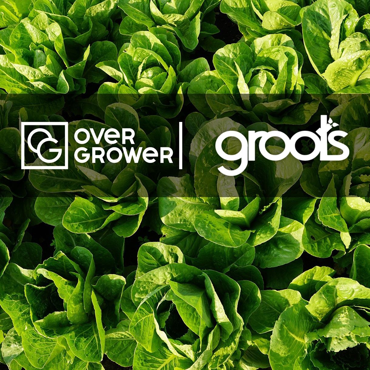 The Partnership Agreement with Groots Hydroponics  executed!