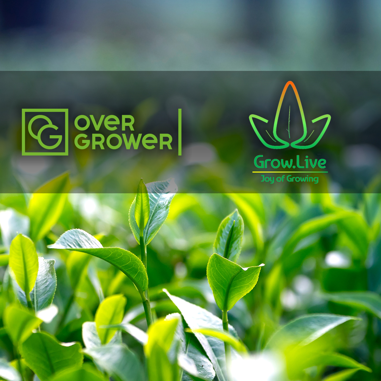 The Partnership Agreement with Grow Live Systems executed!