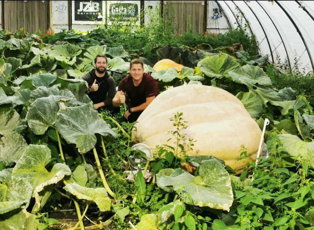 Pumpkin at the Greenhouse