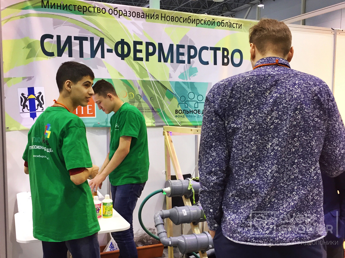 Технический эксперт Рыбаков Роман оценивает участников конкурса JuniorSkills по компетенции Сити-Фермерство