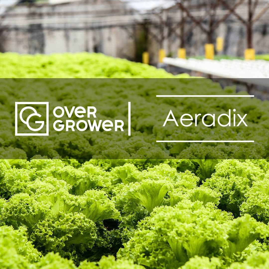 Компания Aeradix оказывают полный спектр услуг OverGrower