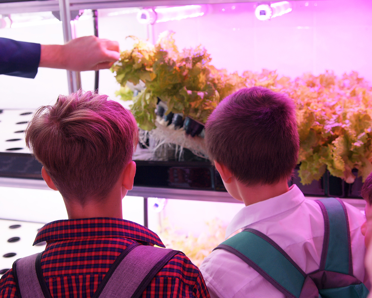 Ребята проявляют интерес к прогрессивному растениеводству.