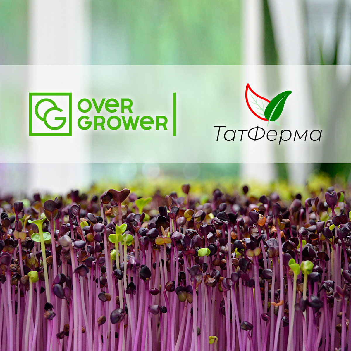 Компания ТатФерма оказывает полный спектр услуг OverGrower!