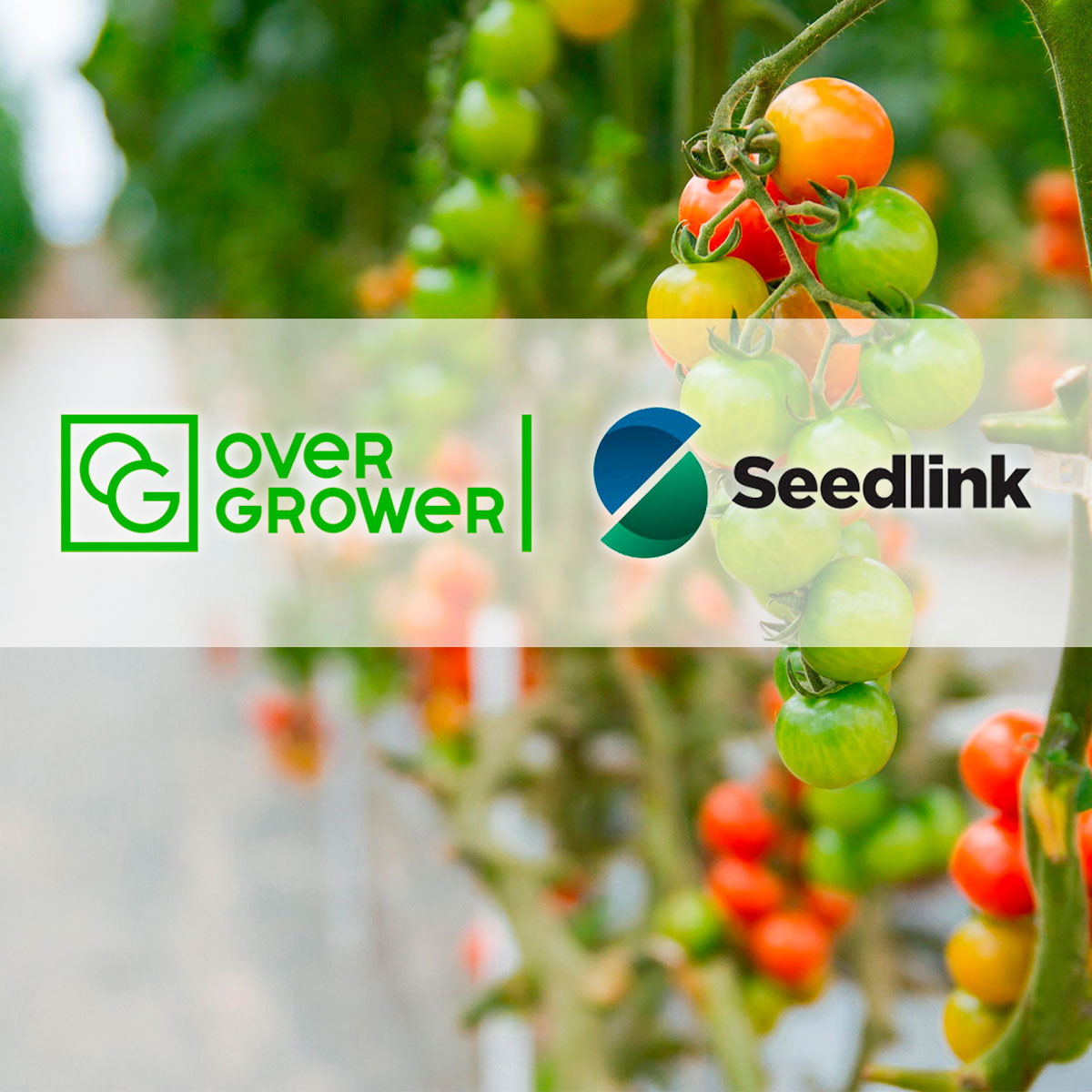 The Partnership Agreement with Seed Link executed!