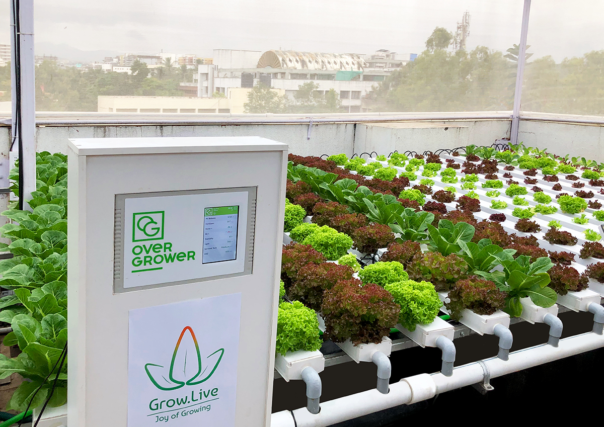 The hydroponic city farm is controlled by the OverGrower device