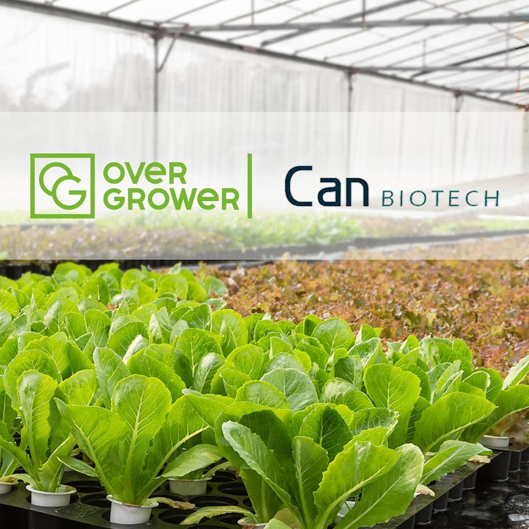 The Partnership Agreement with Can Biotech Ltd executed!
