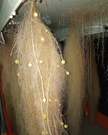 Снимок экрана 2026-04-18 234806.jpg