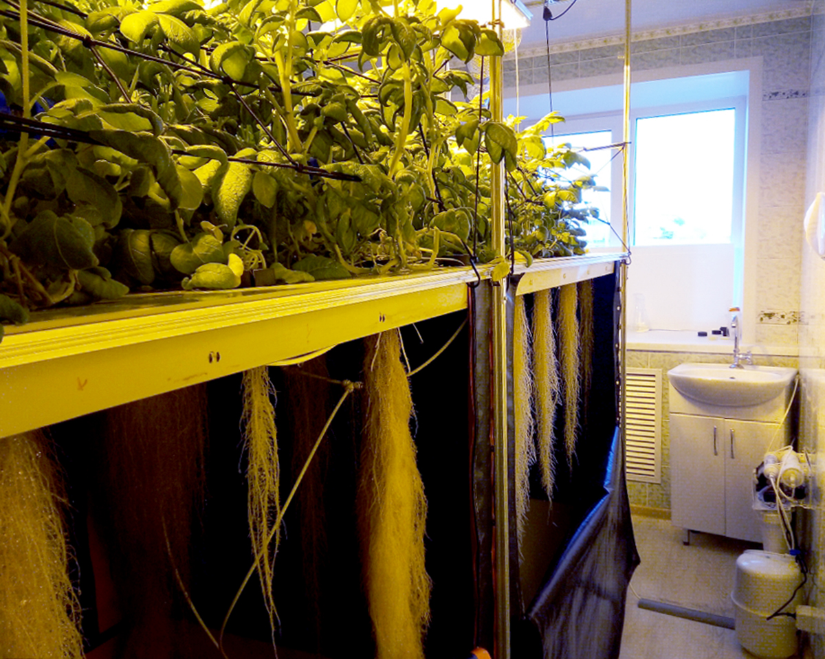 Аэропонная установка для выращивания семенного картофеля