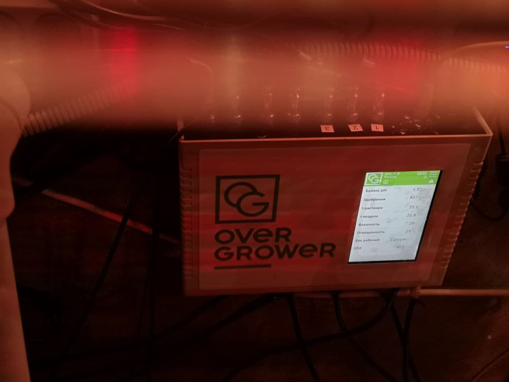 Фудкорт Парник под управлением OverGrower