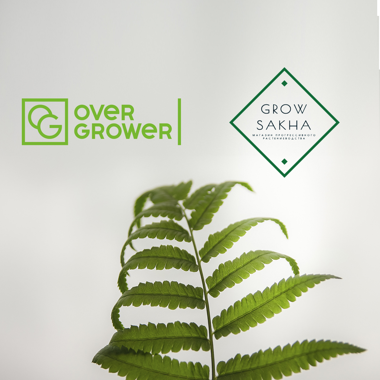 Компания GROW SAKHA оказывает полный спектр услуг OverGrower!