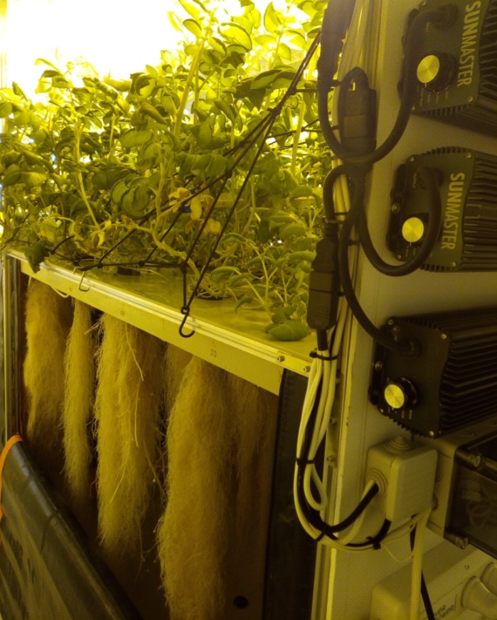 Снимок экрана 2026-04-18 234616.jpg