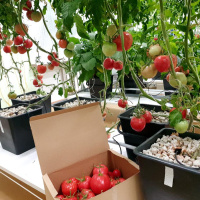 Модульная система AlfaPlants