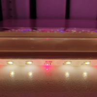 Phytolamp LuxaVita One