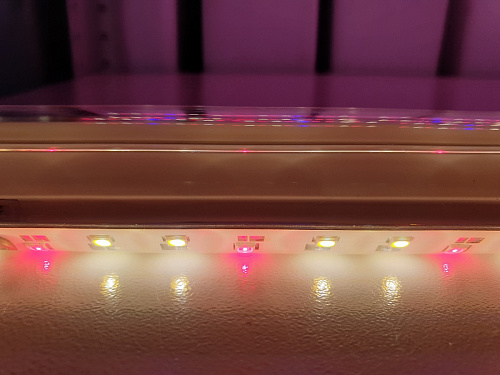 Phytolamp LuxaVita One