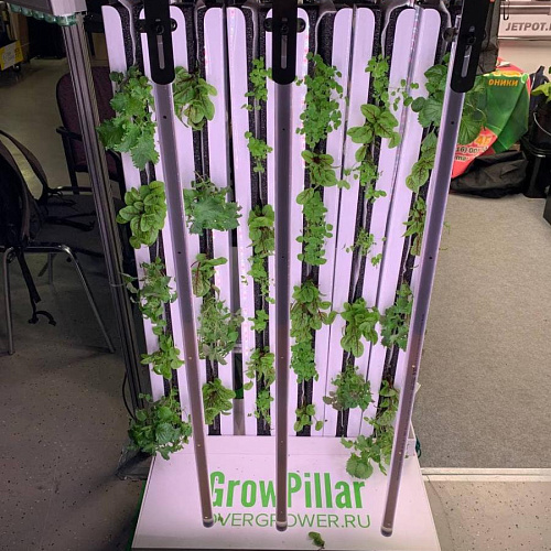 Вертикальная ферма GrowPillar-6 Домашний сад