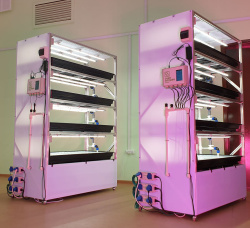 Стеллажный модуль CityFarmer Выращивание Стеллажный модуль CityFarmer Выращивание