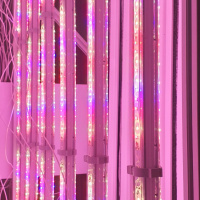 Фитолампа LuxaVita FourSided