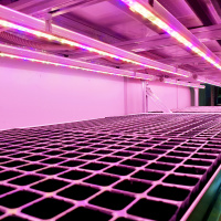 Технологический стол CityFarmer Проращивание