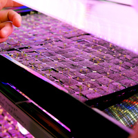 Технологический стол CityFarmer Проращивание