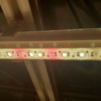 Phytolamp LuxaVita One