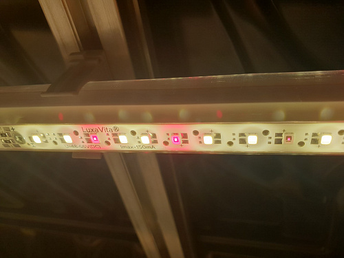 Phytolamp LuxaVita DoubleSided