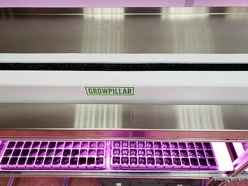 Технологический стол CityFarmer Проращивание