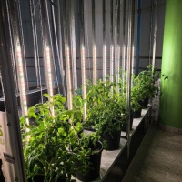 Модульная система AlfaPlants