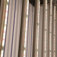 Фитолампа LuxaVita FourSided