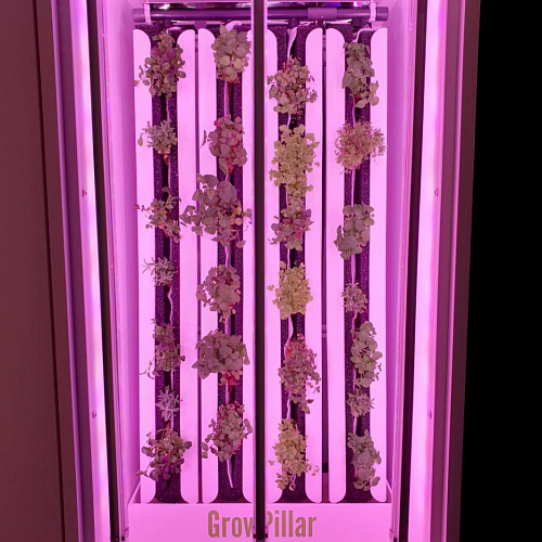 Вертикальная ферма GrowPillar-6 Домашний сад