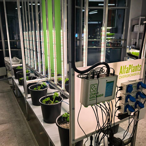 Модульная система AlfaPlants