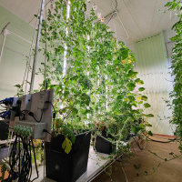 Модульная система AlfaPlants