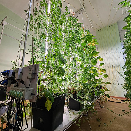 Модульная система AlfaPlants