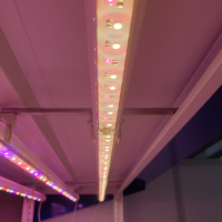 Фитолампа LuxaVita One