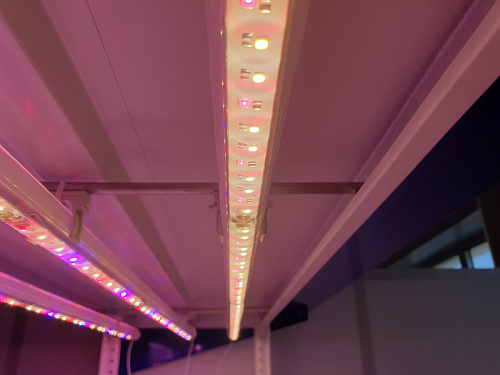 Фитолампа LuxaVita One