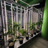 Модульная система AlfaPlants
