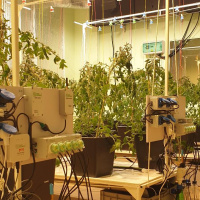 Модульная система AlfaPlants